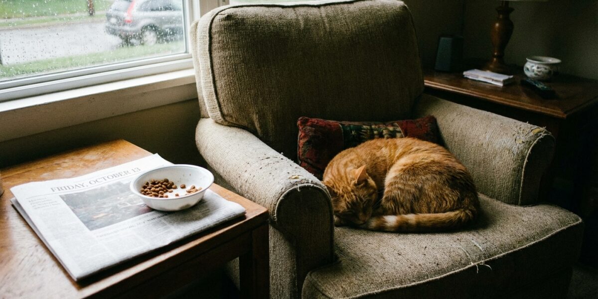 Image for: Friday the 13th (Maple Is Unbothered)