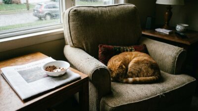 Image for: Friday the 13th (Maple Is Unbothered)