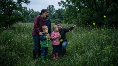 Image for: The Firefly Saturday