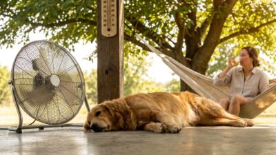 Image for: What the Heat Does